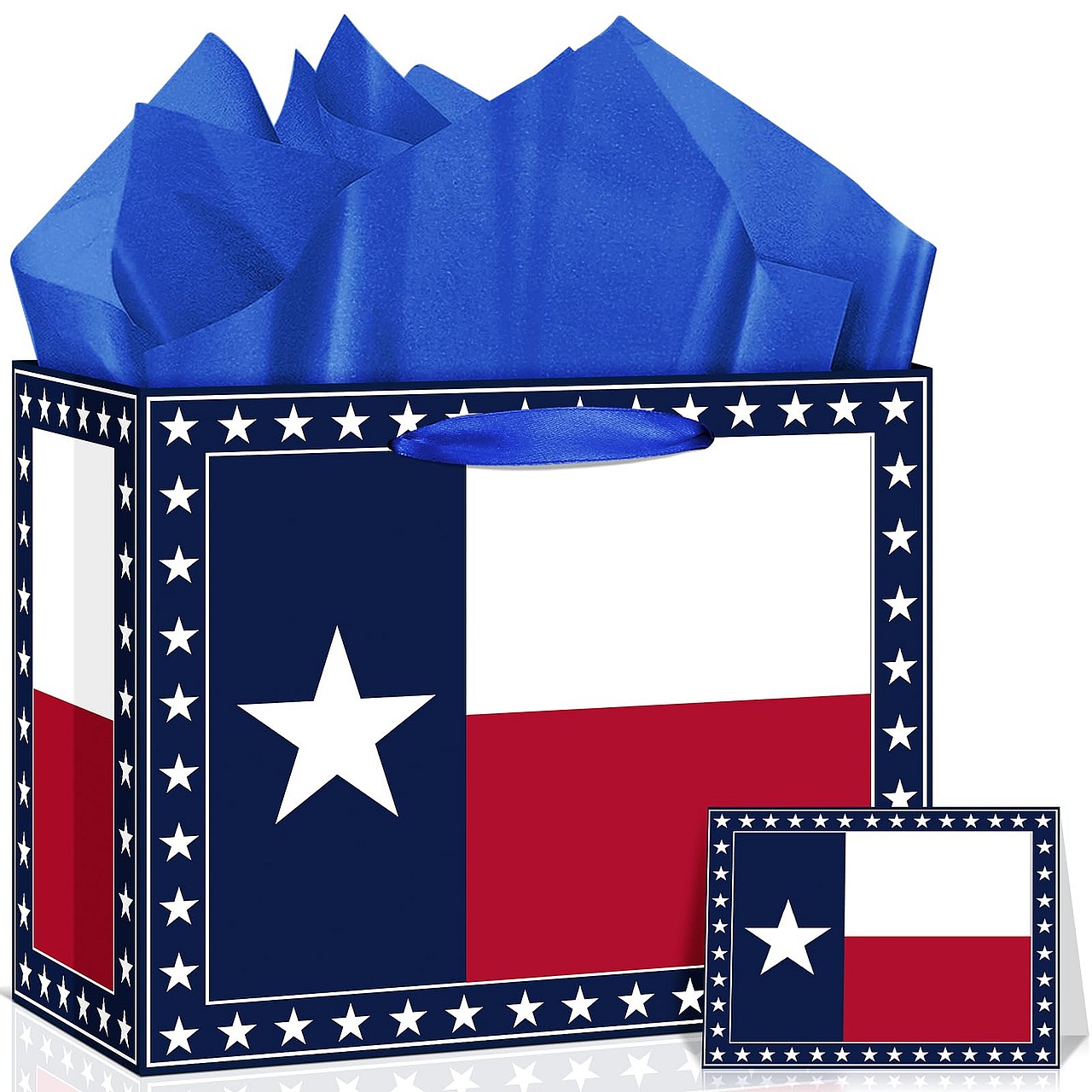 Texas Flag Gift Bag Set