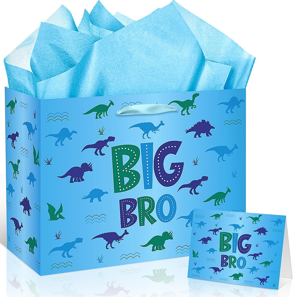 Big Brother Gift Bag Set