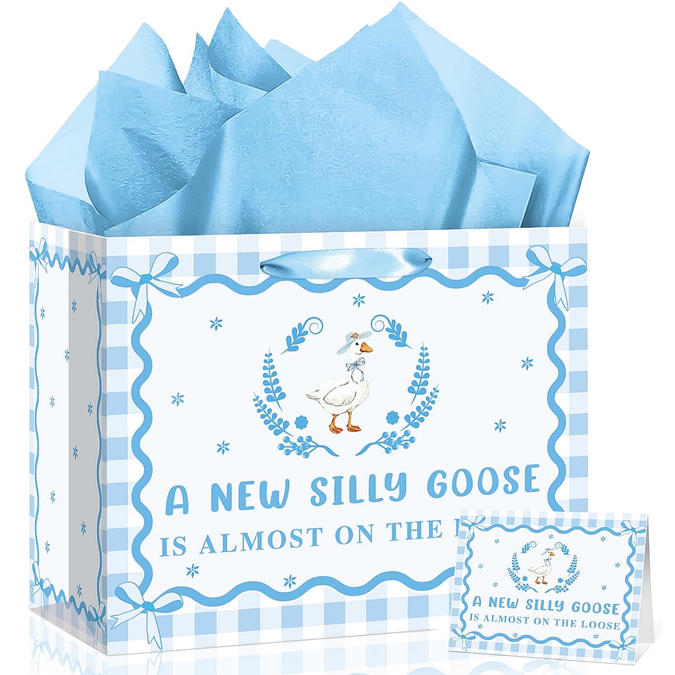 Silly Goose Baby Boy Gift Bag Set