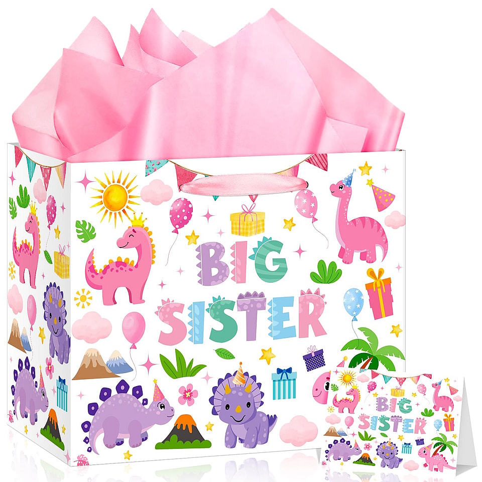Big Sister Gift Bag Set