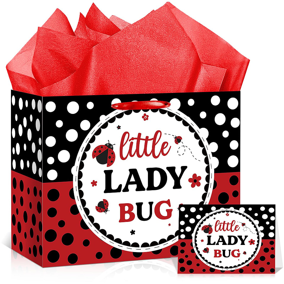 Ladybug Baby Shower Birthday Gift Bag Set