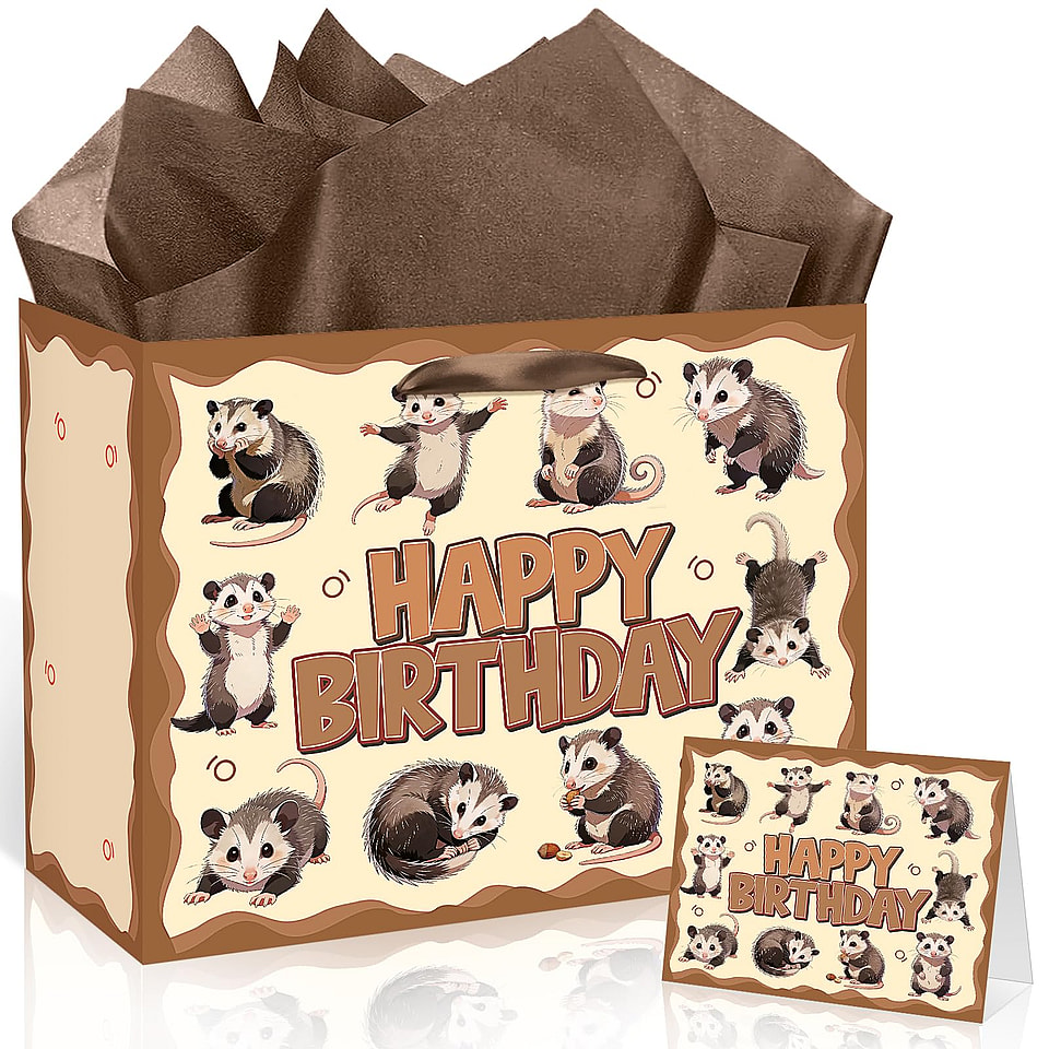 Opossum Birthday Gift Bag Set